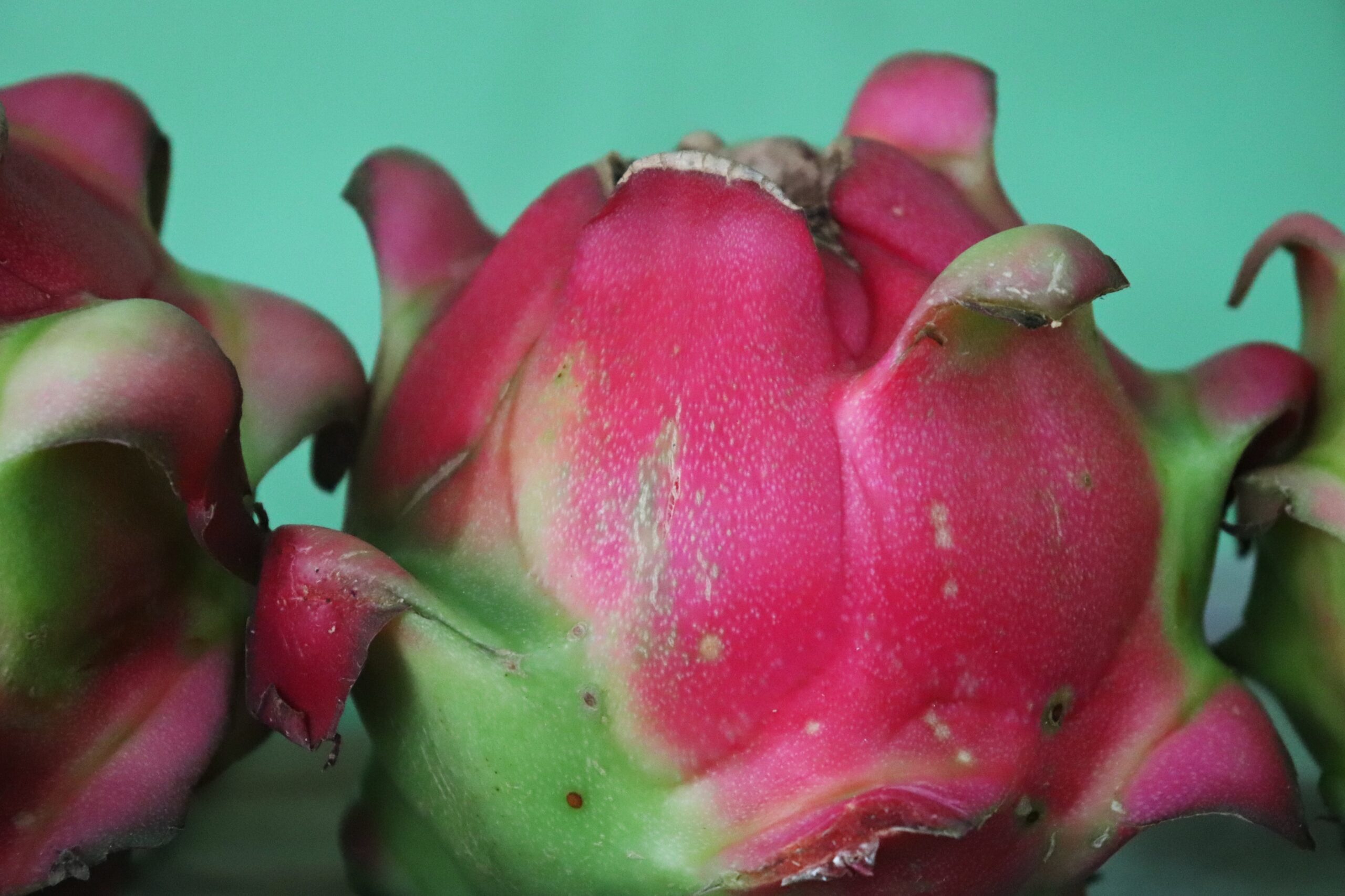 Manfaat Buah Naga
