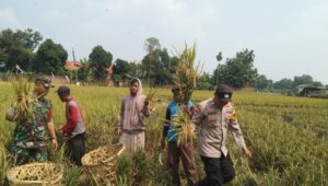 Sinergitas antara TNI-Polri dan Bhabinkamtibmas di Kelurahan Cimuning.