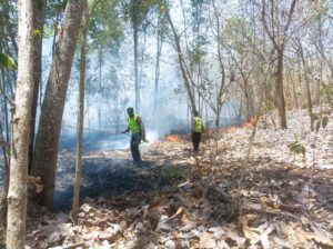 Polres Trenggalek dan Tim Gabungan Berhasil Padamkan Api di Durenan