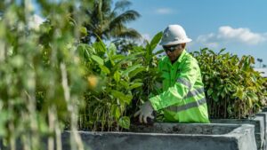 PT .NHM Menerapkan Konsep” Green Mining” Pentingnya Menjaga Keseimbangan antara operasi tambang dan Pelestarian Lingkungan
