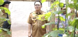 Pjs.Bupati Blitar Jumadi Apresiasi Inovasi dari Petani Melon di Kecamatan Wates Blitar