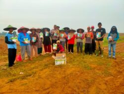 Penanaman jagung Pipil di desa Sukamahi, dukung ketahanan Pangan Nasional