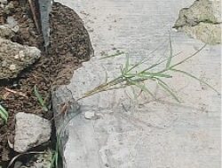 Proyek Irigasi P3-TGAI di Ngoran Disorot: Diduga Cuma Pasir, Kualitas Mutu Dipertanyakan Warga !