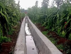 Program P3-TGAI Tirto Makmur Desa Plumpungrejo Rampung, Manfaatkan Saluran Irigasi Sepanjang 275,7 Meter