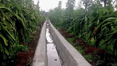 Program P3-TGAI Tirto Makmur Desa Plumpungrejo Rampung, Manfaatkan Saluran Irigasi Sepanjang 275,7 Meter