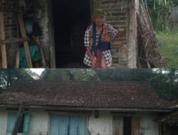 Atap Rumah Nenek di Siliragung Banyuwangi Nyaris Roboh, Dampak Kurangnya Perhatian Pemerintah Pada Warga Miskin