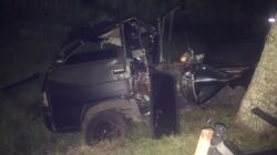 Mobil Pick Up Terjun Bebas Kesawah di Kabat Banyuwangi