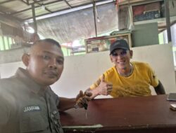 LSM GERBANG NUSA Dukung Frits Saikat–Bekasi Butuh Sosok yang Berani Bicara dan Bertindak