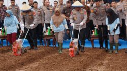 WAKAPOLRI SERUKAN POLRI HADIR SAMPAI PASCAPANEN – PROGRAM JAGUNG POLRI DI CIKARANG PUSAT BERJALAN SUKSES