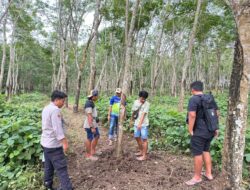 Pelaku Pencurian Sapi dan Penadahan di Glenmore, Berhasil Dibekuk Satreskrim Polresta Banyuwangi