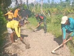 Dukung Kelancaran Aktifitas Pertanian Masyarakat,Babinsa Siliragung Perbaiki Akses Jalan Hingga Bantu Warga Panen Buah Naga.
